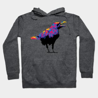 Rainbow Colorful Raven Hoodie